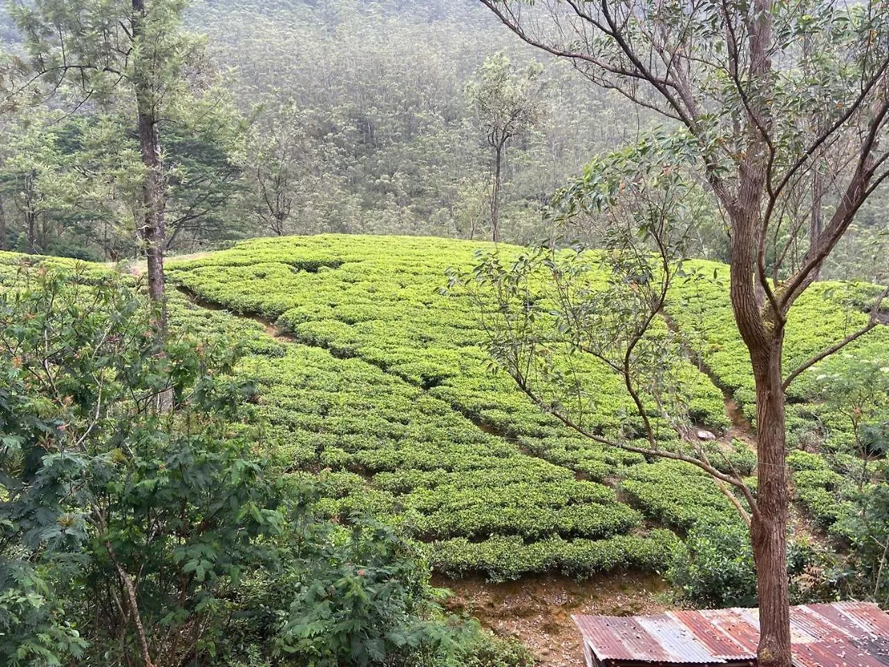 Shan Hotel Nallathanniya 0*,
